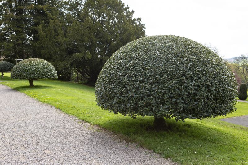 Topiary Creation