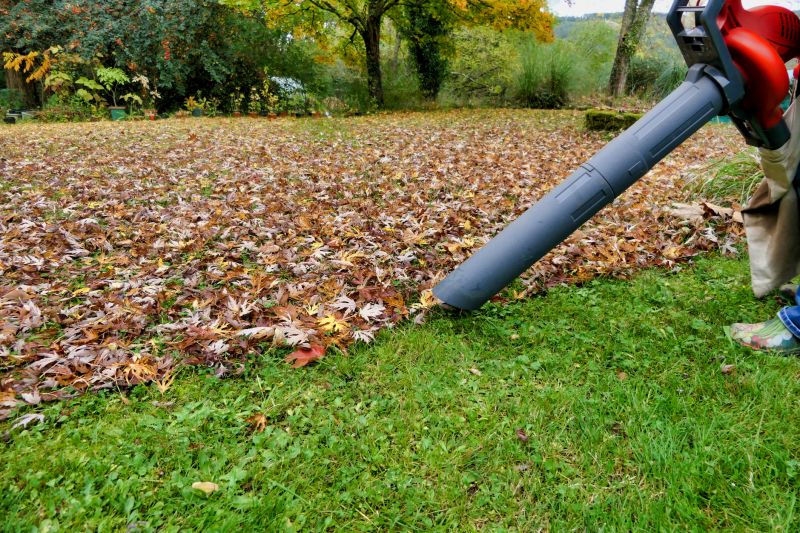 Fall Lawn Maintenance Equipment