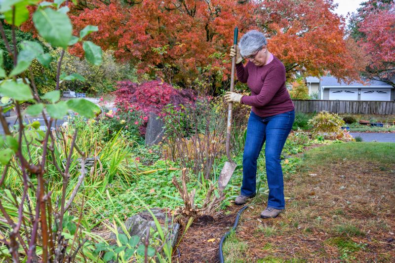 Removing Leaves from a Garden Bed