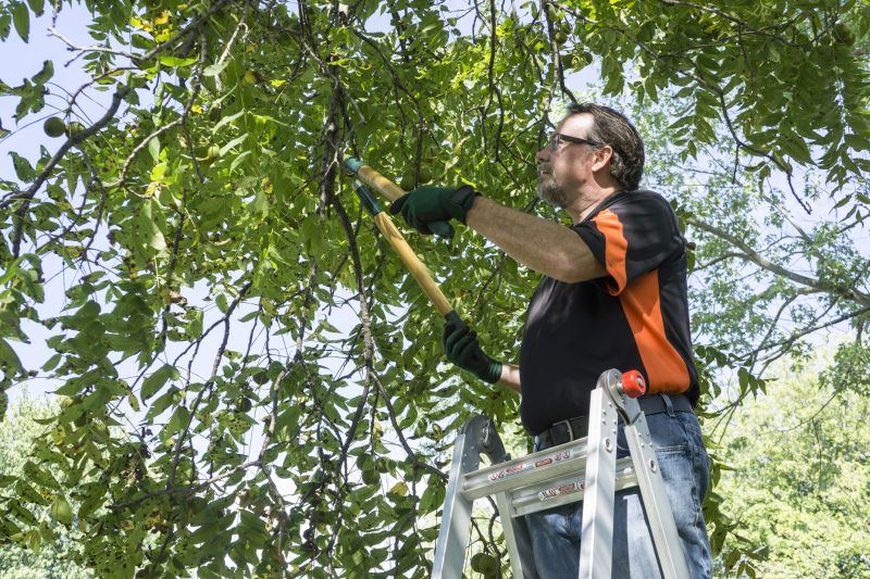 Limb Pruning in Pottstown, PA