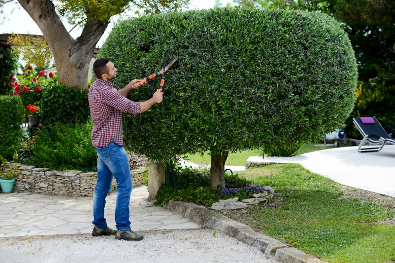 Trimming Bushes Near Pathways