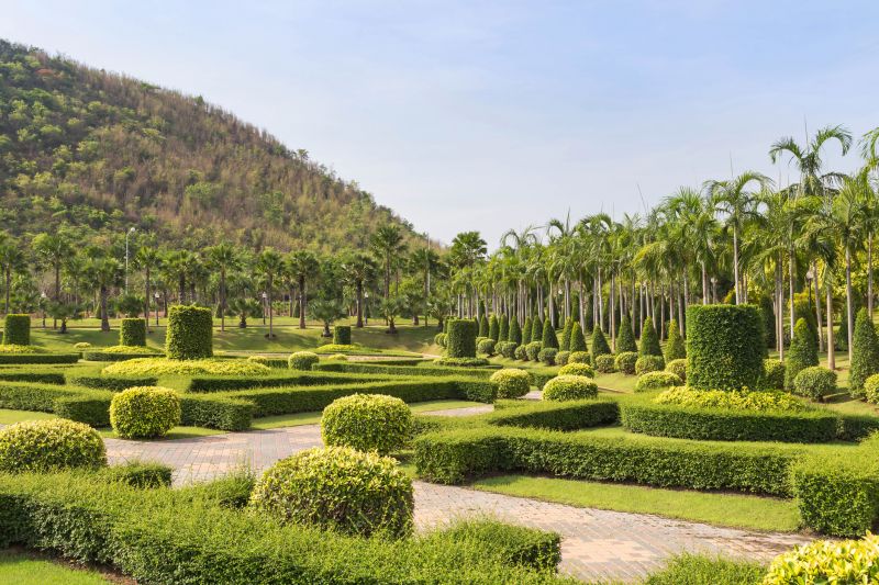 Shrubs Shaped for Design