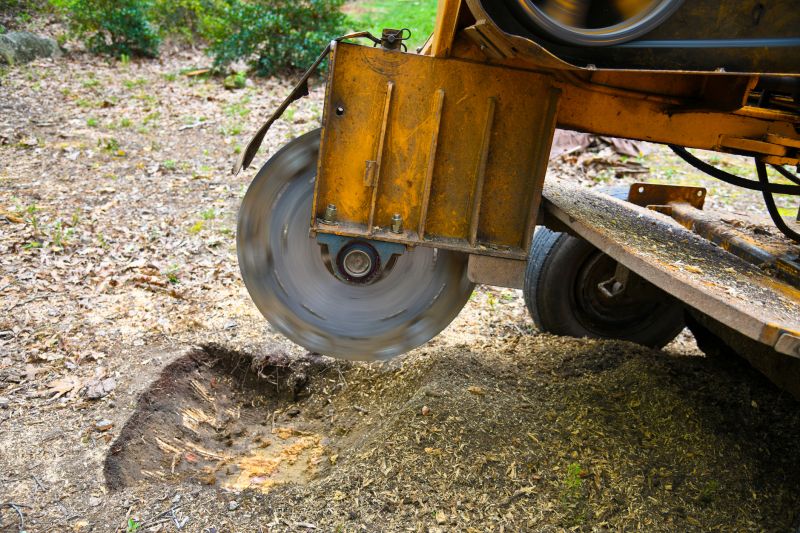 Stump Grinding Service in Calvert County, MD