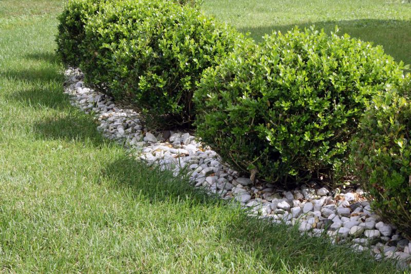 Customized landscape care